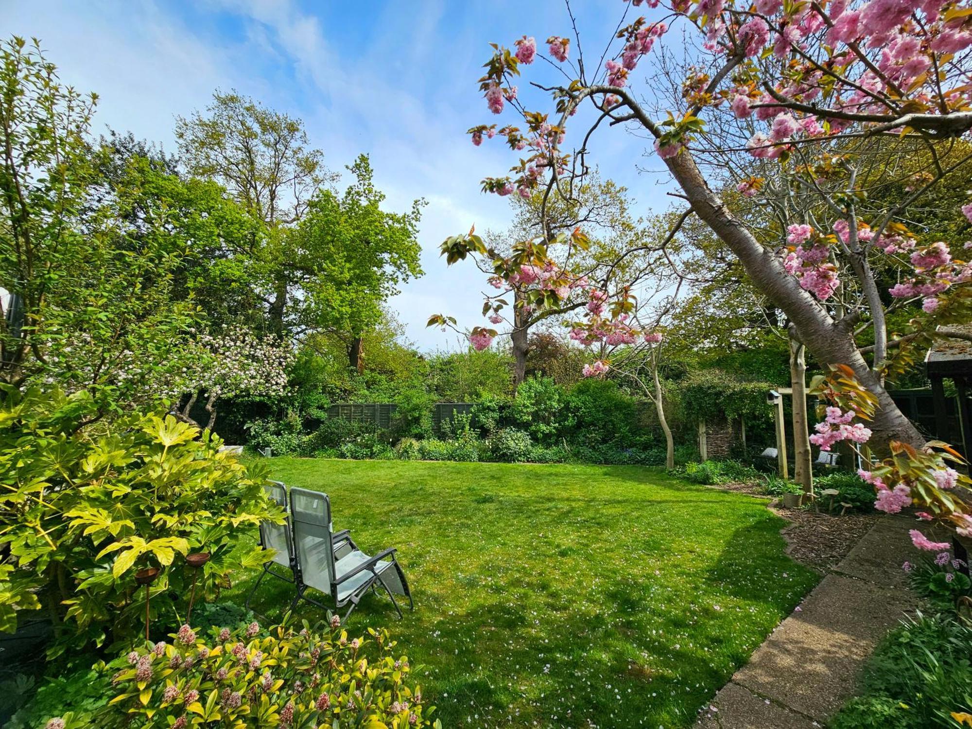 Luxury Self Catering With Cosy Cabin & Sauna In Colchester Exterior foto